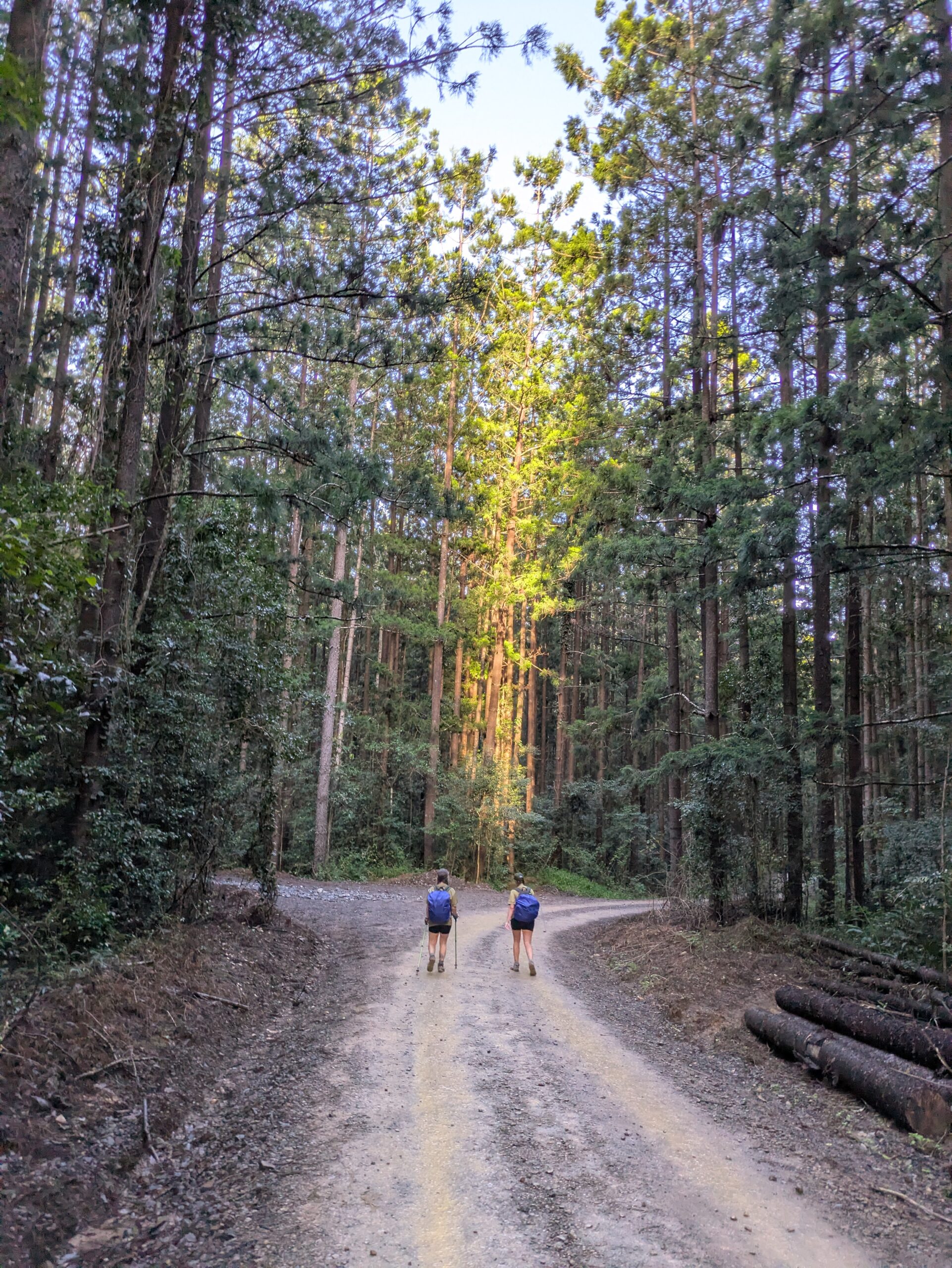 Kairos empowers young people through Kokoda Challenge